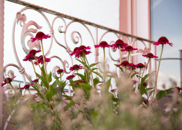 Blumen